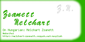 zsanett melchart business card